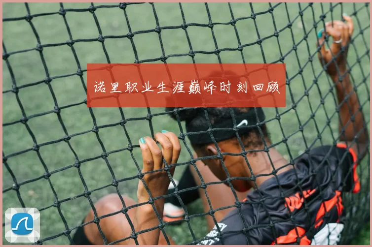 诺里职业生涯巅峰时刻回顾