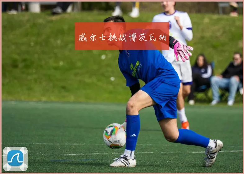 威尔士挑战博茨瓦纳