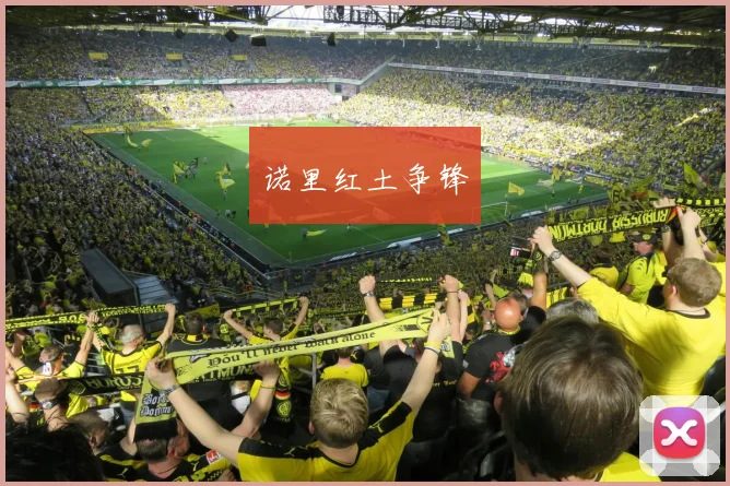 诺里红土争锋