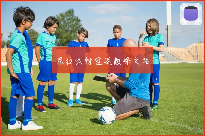 昆拉武特重返巅峰之路