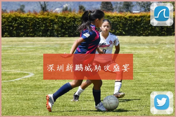 深圳新鹏城助攻盛宴