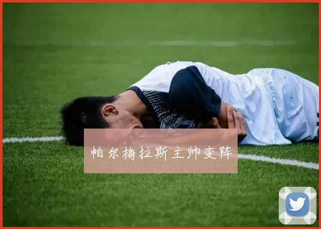 帕尔梅拉斯主帅变阵