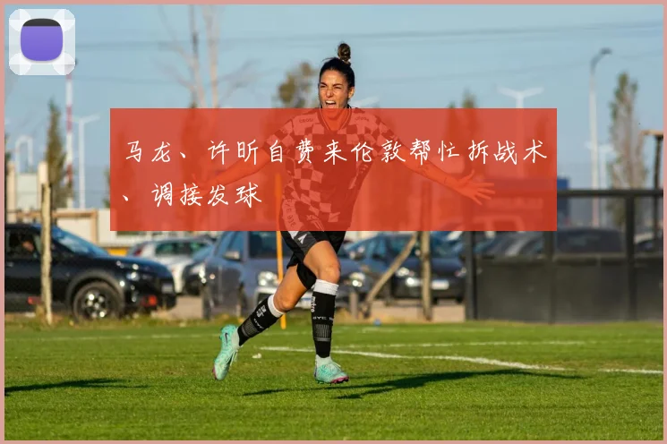 马龙、许昕自费来伦敦帮忙拆战术、调接发球