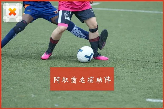 阿联酋名宿助阵