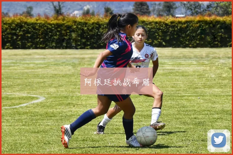 阿根廷挑战希腊