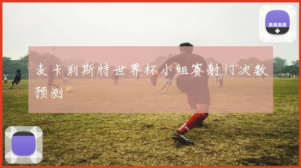麦卡利斯特世界杯小组赛射门次数预测