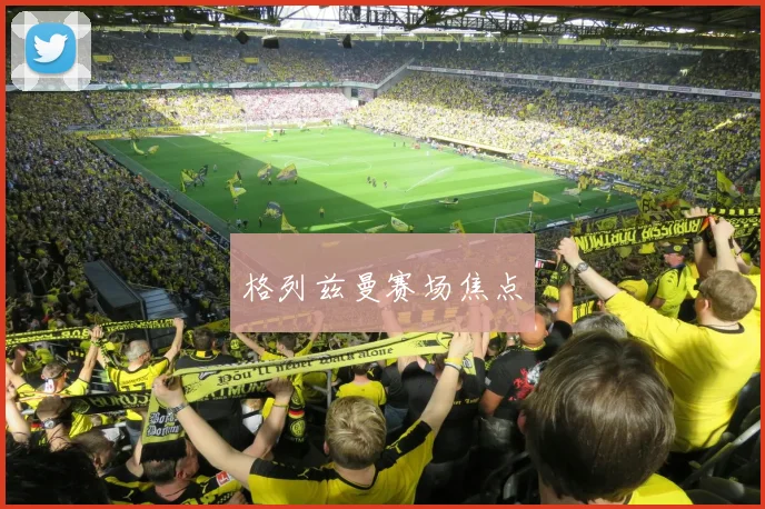 格列兹曼赛场焦点
