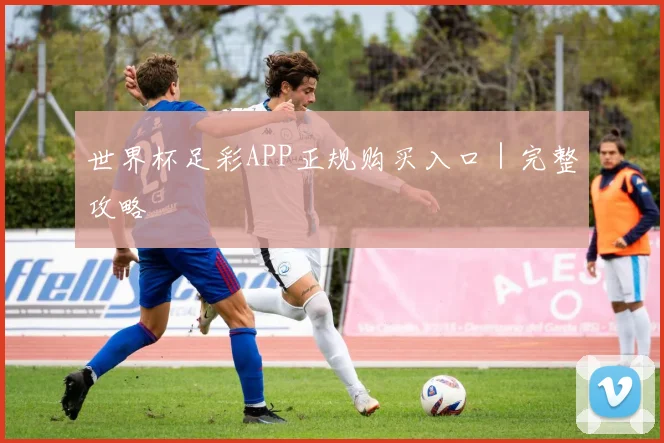 世界杯足彩APP正规购买入口｜完整攻略