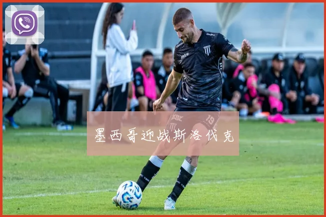 墨西哥迎战斯洛伐克