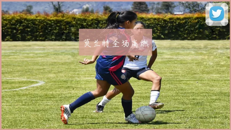 莫兰特全场高燃