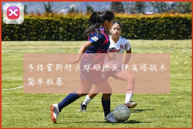 韦格霍斯特头球砸地反弹高塔战术简单粗暴