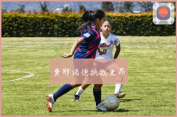 费耶诺德挑战里昂