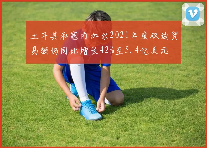 土耳其和塞内加尔2021年度双边贸易额仍同比增长42%至5.4亿美元