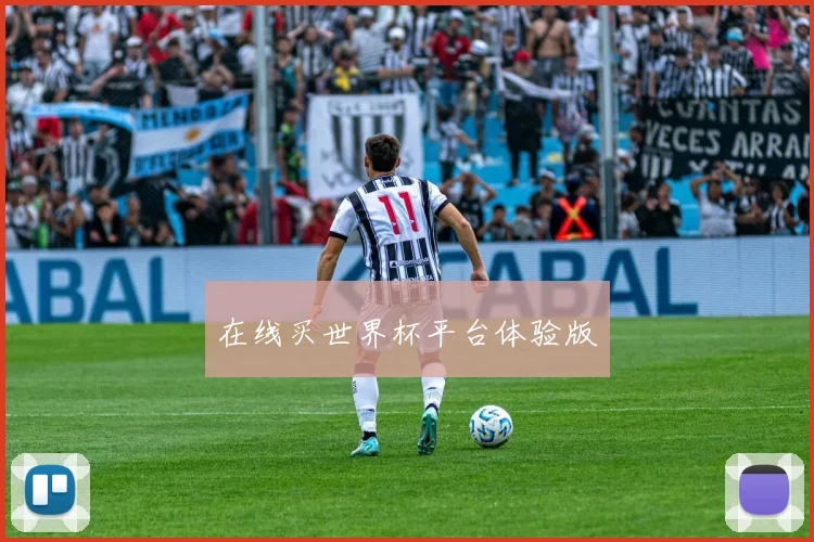 在线买世界杯平台体验版
