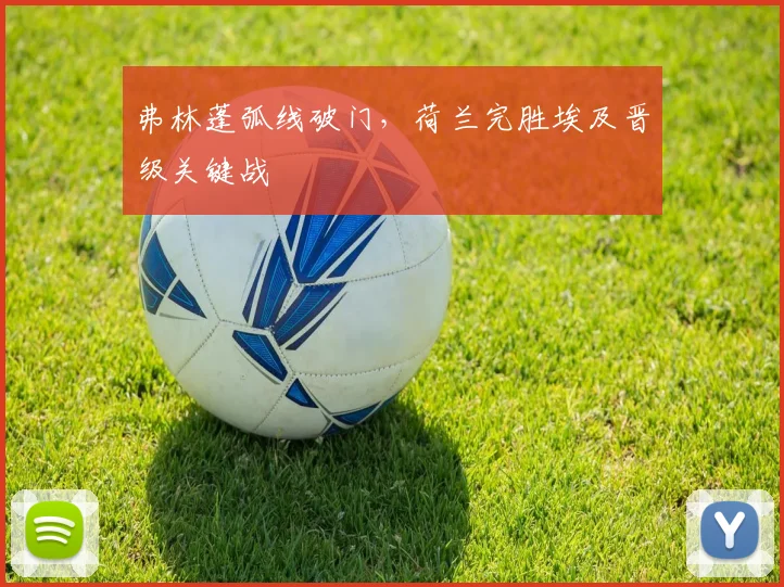 弗林蓬弧线破门，荷兰完胜埃及晋级关键战