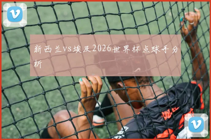 新西兰vs埃及2026世界杯点球手分析