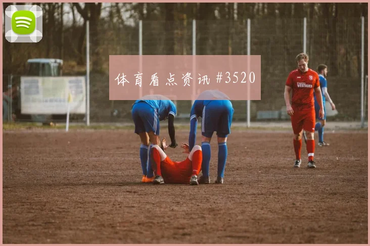 埃及vs比利时2026世界杯主场氛围