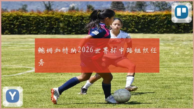 鲍姆加特纳2026世界杯中路组织任务