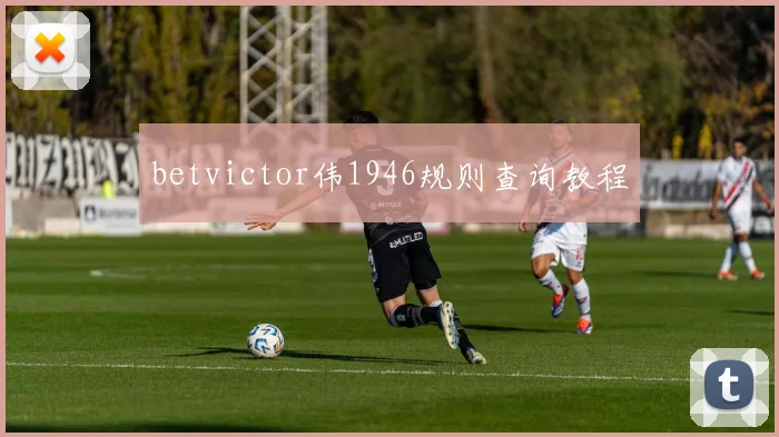 betvictor伟1946规则查询教程