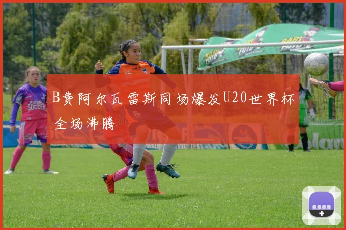 B费阿尔瓦雷斯同场爆发U20世界杯全场沸腾