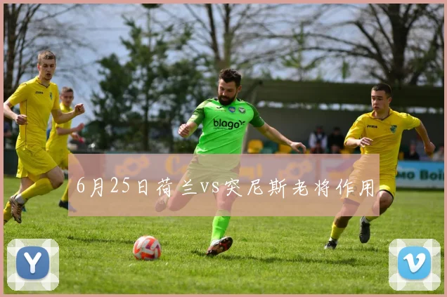 6月25日荷兰vs突尼斯老将作用
