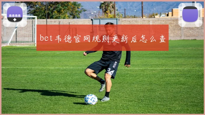 bet韦德官网规则更新后怎么查