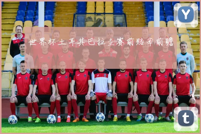 世界杯土耳其巴拉圭赛前赔率前瞻