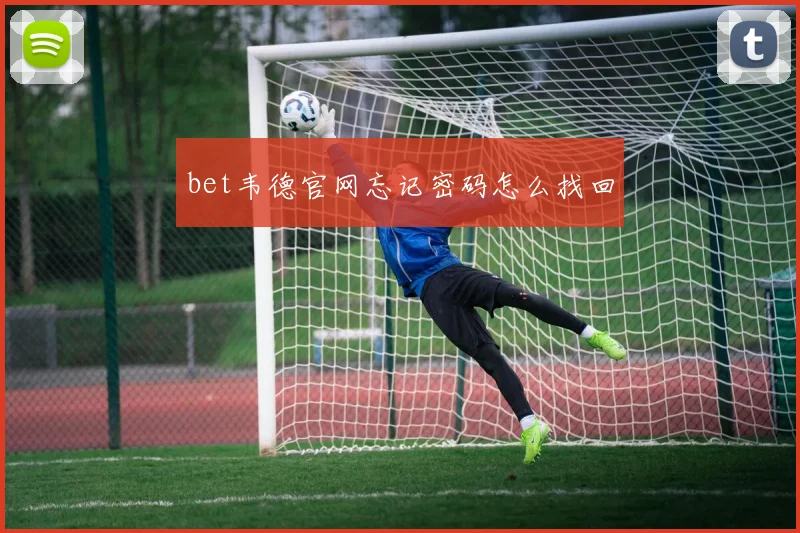 bet韦德官网忘记密码怎么找回