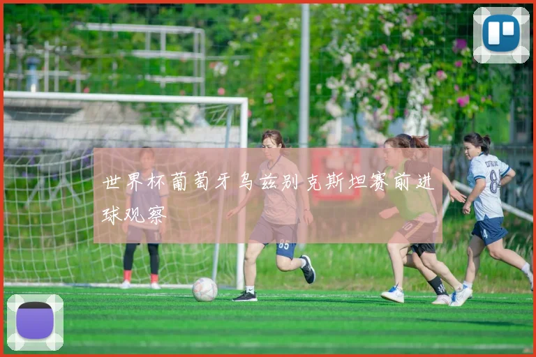世界杯葡萄牙乌兹别克斯坦赛前进球观察