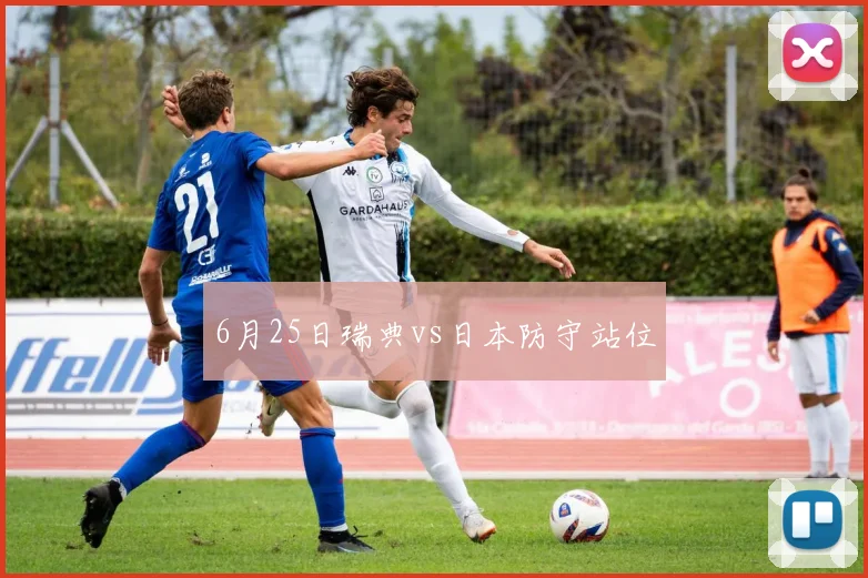 6月25日瑞典vs日本防守站位
